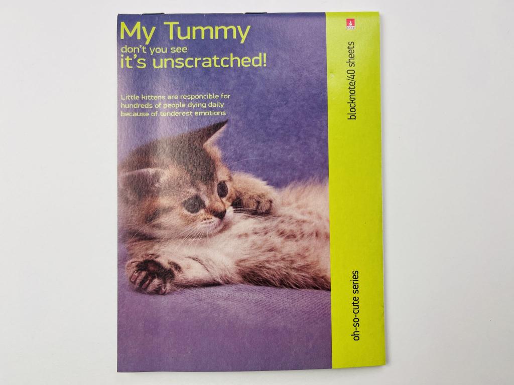 Блокнот. Котики. 40 листов. A5 