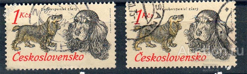 ЧЕХОСЛОВАКИЯ ЧССР 1973 ФАУНА ОХОТНИЧЬИ СОБАКИ АНГЛИЙСКИЙ КОКЕР СПАНИЕЛЬ ОХОТА ПОШТУЧНО 62-108