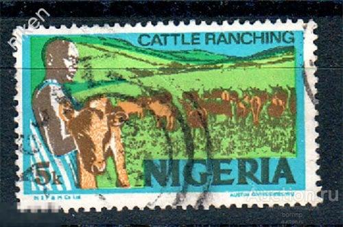 НИГЕРИЯ 1973 ФАУНА СЕЛЬСКОЕ ХОЗЯЙСТВО ЖИВОТНОВОДСТВО ПАСТУХ 30-2-246