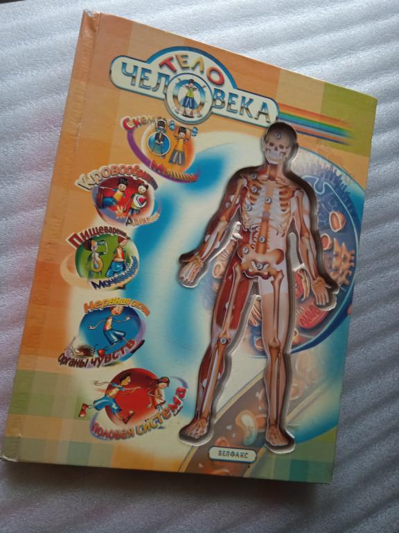 Тело человека - книга для детей