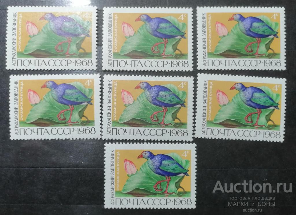 1968г. СССР. Государственный Астраханский заповедник. Султанская курица. Чистые ** (7-102) 1 марка