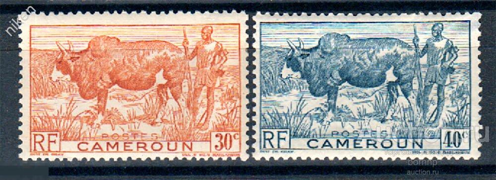 ФРАНЦУЗСКИЙ КАМЕРУН 1946 КОЛОНИИ ФАУНА ДОМАШНИЕ ЖИВОТНЫЕ БЫК ЗЕБУ ПАСТУХ ТУЗЕМЕЦ 62-218