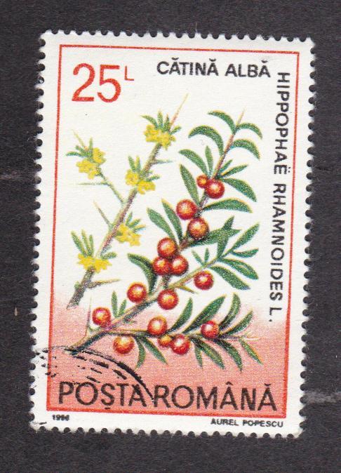 Румыния 1993 Флора (3102)