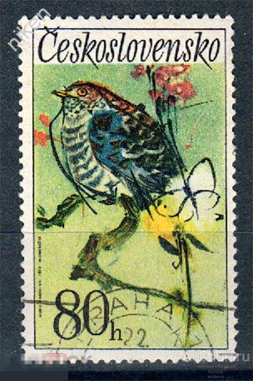 ЧЕХОСЛОВАКИЯ ЧССР 1972 ФАУНА ПТИЦЫ ОБЫКНОВЕННАЯ КУКУШКА 35-1-54