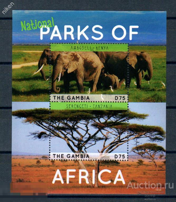 ГАМБИЯ 2014 ФАУНА НАЦИОНАЛЬНЫЕ ПАРКИ ОХРАНА ПРИРОДЫ СЛОНЫ 42-2-39