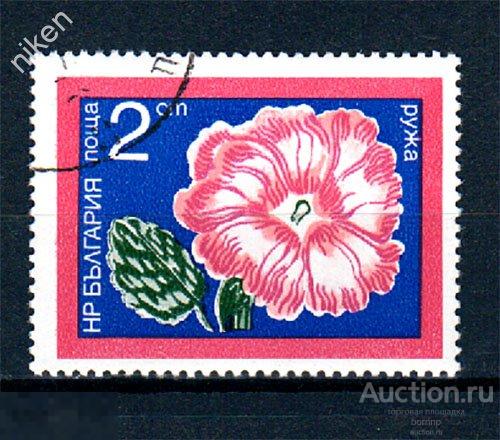 БОЛГАРИЯ 1974 ФЛОРА ЦВЕТЫ РОЗЫ ДАМАССКАЯ РОЗА 55-2-174