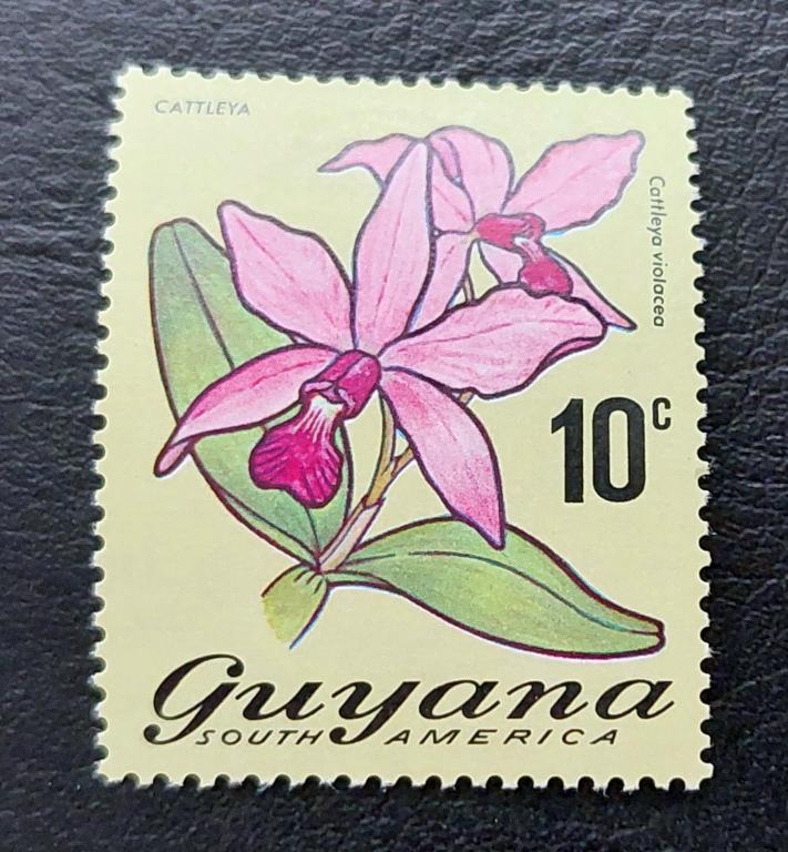 Гайана. Орхидея каттлея. 1 марка. 1971.**