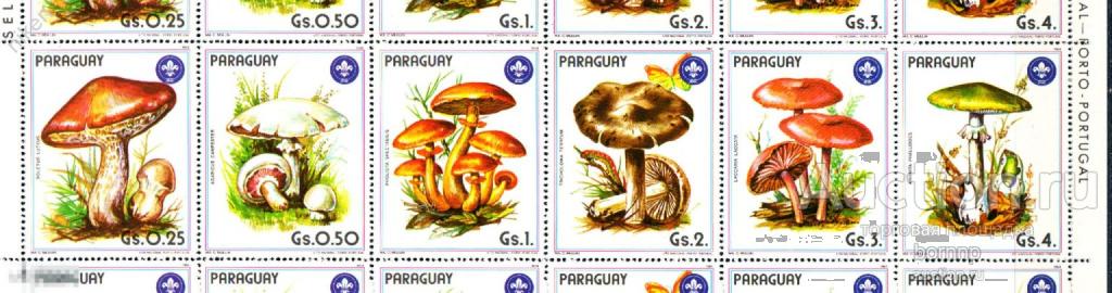 ПАРАГВАЙ 1984 ФЛОРА ГРИБЫ ФАУНА БАБОЧКИ ЭМБЛЕМА СКАУТЫ  11-83-А