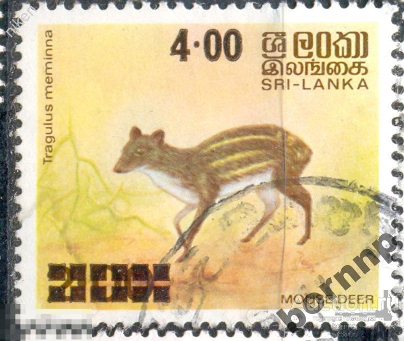 ШРИ ЛАНКА.ФАУНА.НАДПЕЧАТКА