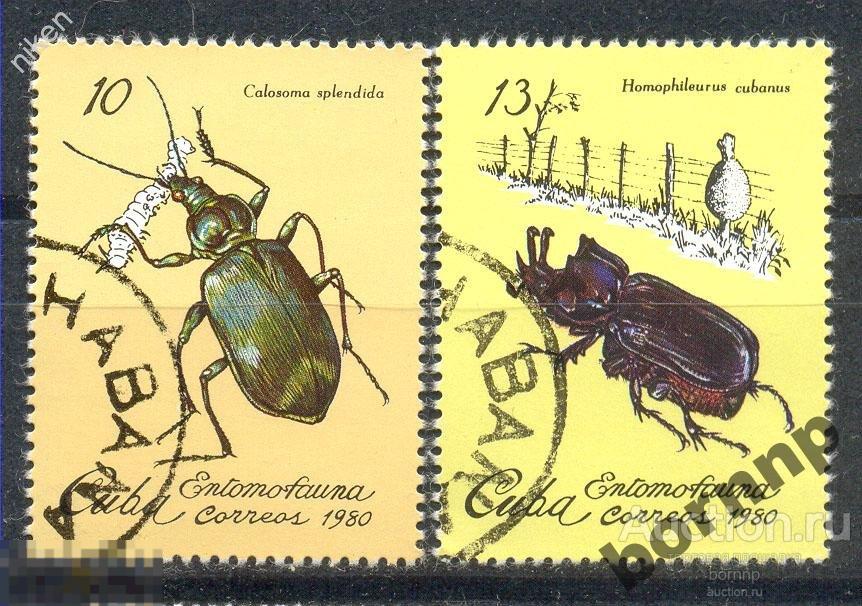 КУБА 1980 ФАУНА ОСТРОВА НАСЕКОМЫЕ ЖУКИ  4-947
