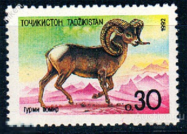 ТАДЖИКИСТАН 1992 ФАУНА АРХАР АРГАЛИ 35-2-4