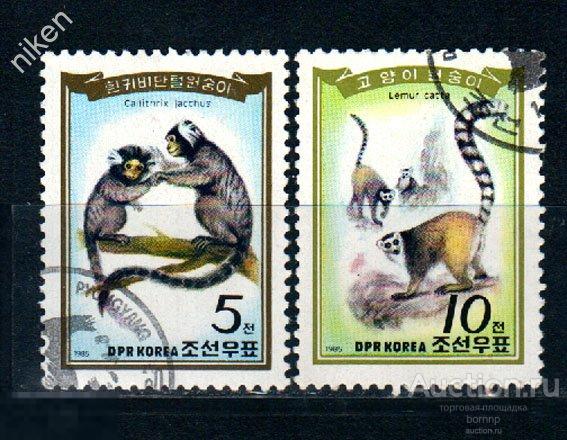 КОРЕЯ 1985 ФАУНА ОБЕЗЬЯНЫ  8-4-99
