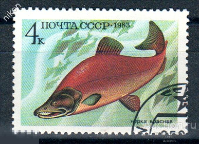 СССР 1983 ФАУНА ПРОМЫСЛОВЫЕ РЫБЫ НЕРКА КРАСНАЯ РЫБАЛКА РЫБОЛОВСТВО 24 107