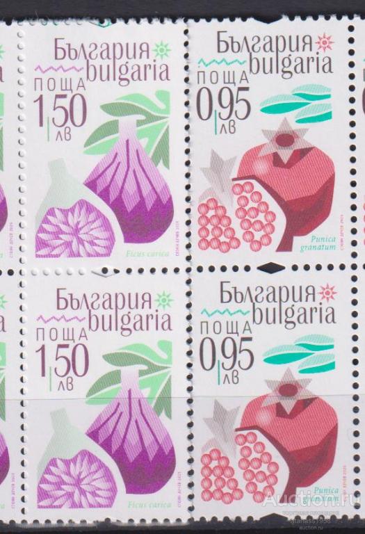 Болгария Чистые марки Флора Фрукты  2025