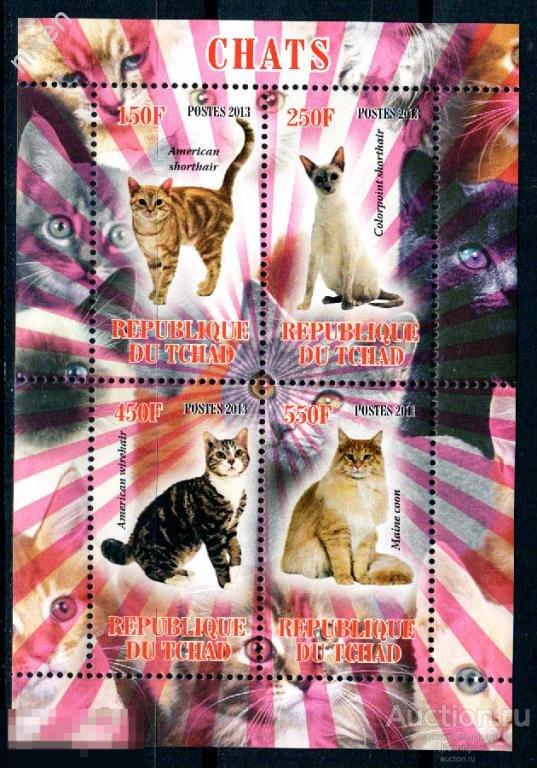 ЧАД 2013 ФАУНА КОШКИ  МАЛЫЙ ЛИСТ ФАНТАСТИКА 5-2-62