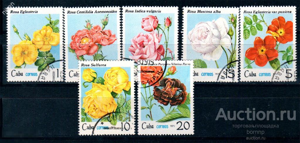 КУБА 1978 АВИАПОЧТА ФЛОРА ЦВЕТЫ РОЗЫ  КРАСОТА 31-1-129