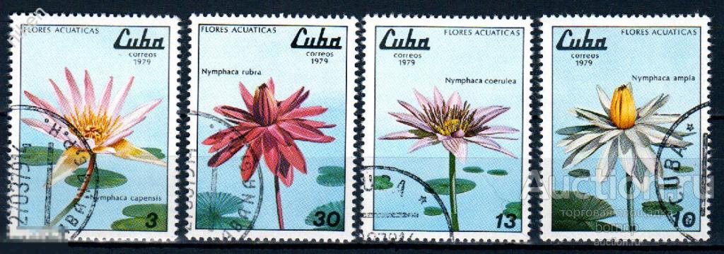 КУБА 1979 ФЛОРА ЦВЕТЫ РАСТЕНИЯ НИМФЕЯ КУВШИНКА КРАСОТА 37-1-36