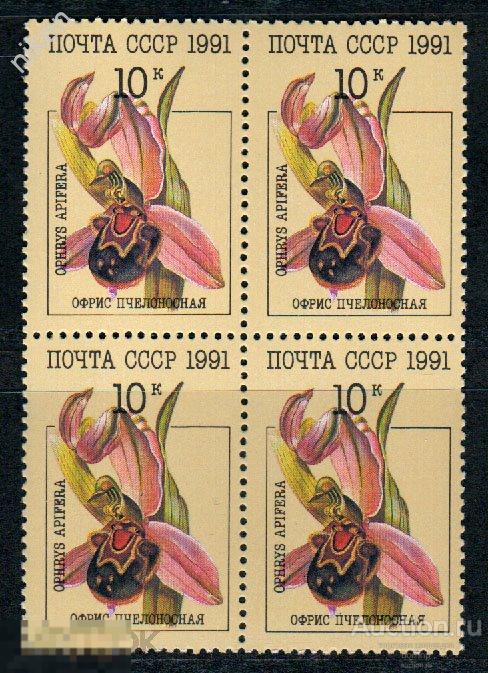 СССР 1991 ФЛОРА ЦВЕТЫ ОРХИДЕИ ОФРИС ПЧЕЛОНОСНАЯ КВАРТБЛОК 28-1-19