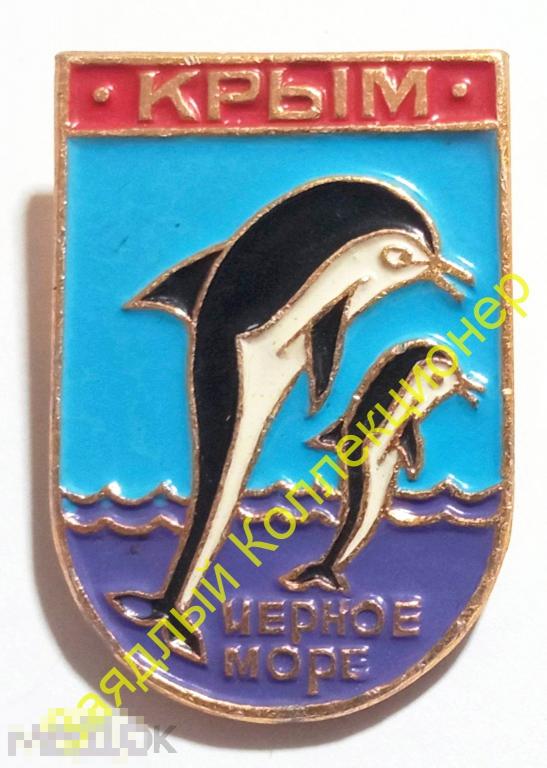 Крым. Чёрное море. Дельфины