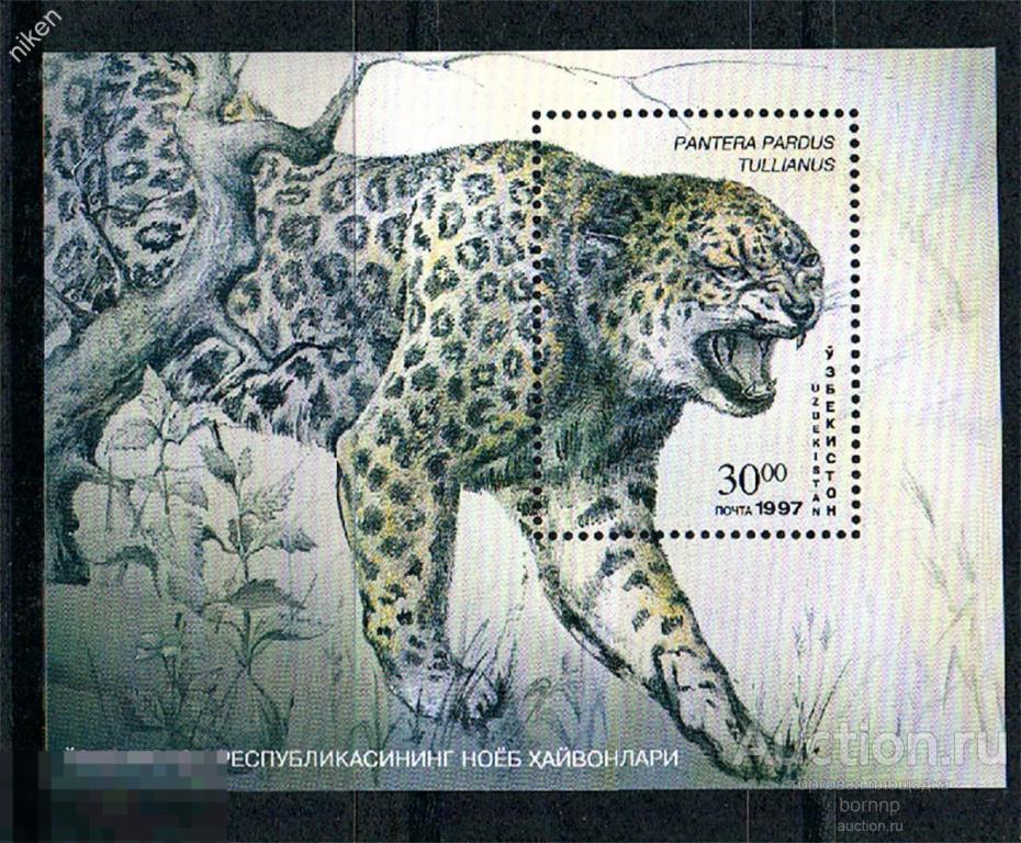 УЗБЕКИСТАН 1997 ФАУНА ХИЩНИКИ ПЕРСИДСКИЙ АНАТОЛИЙСКИЙ ЛЕОПАРД КРАСНАЯ КНИГА  35-1-165