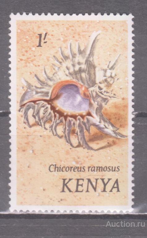 Кения 1971 моллюск ветвистый цикореус Mi45 MNH