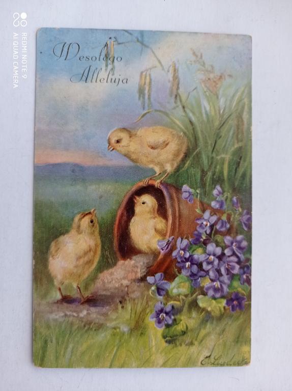 Открытка ПАСХАЛЬНАЯ ЦЫПЛЯТА. Польша, 1920-1940-е гг. Подписана