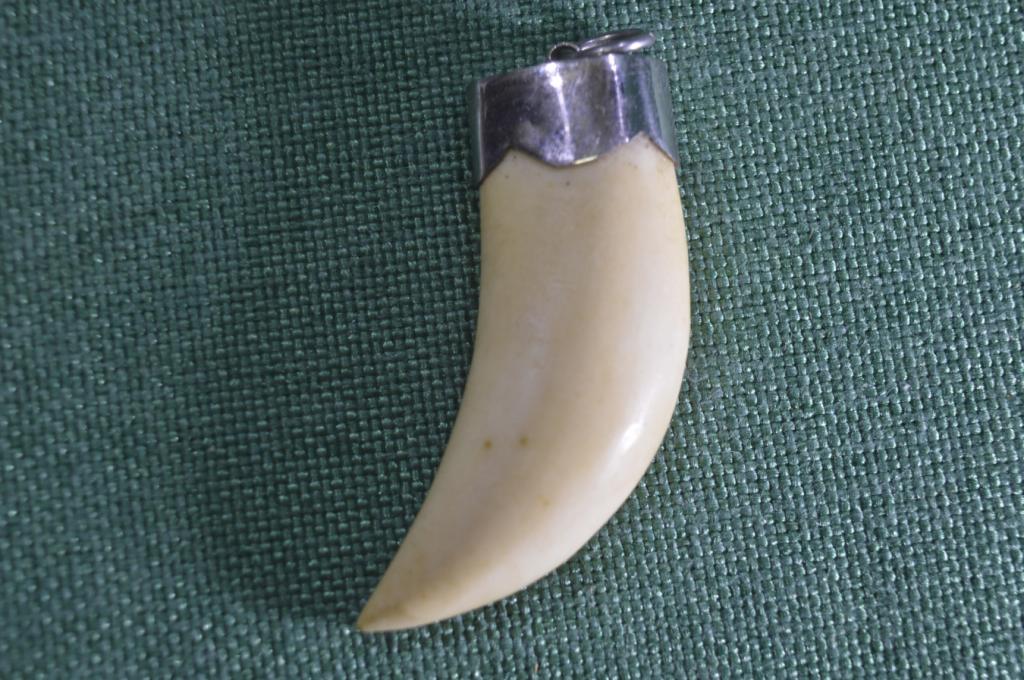 Подвеска кулон. Натуральный зуб крокодила. Восток.