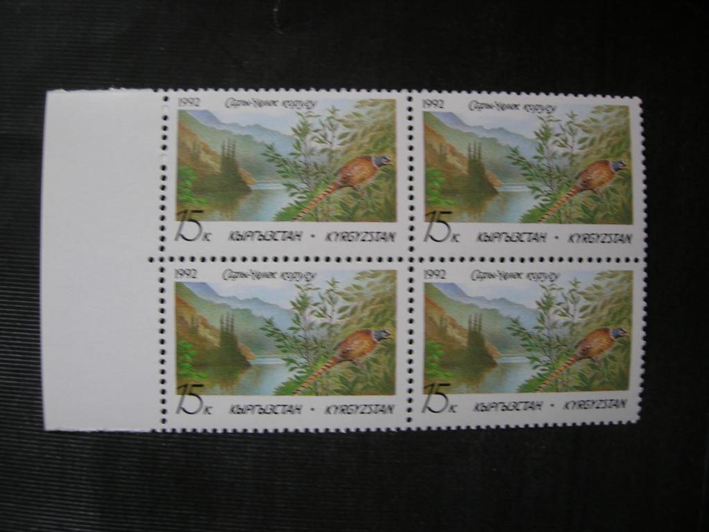 Кыргызстан 1992 фауна: птица  MNH (кварт)