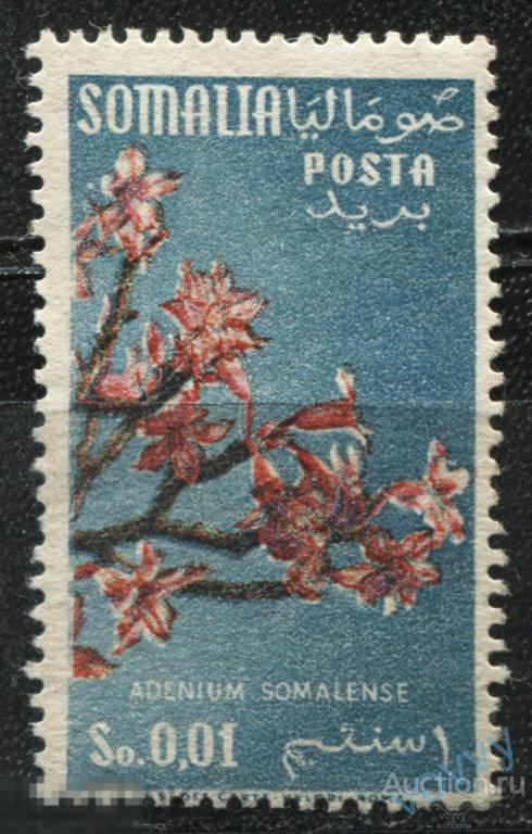 Итальянское Сомали 1955 адениум сомалийский флора MNH Mi#297 ZB011
