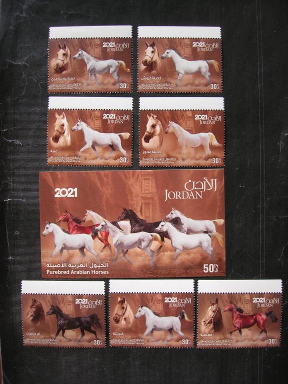 Иордания 2021 фауна: лошади     MNH