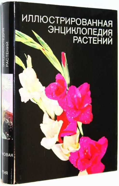 #1708384 Новак Ф. А. Иллюстрированная энциклопедия растений