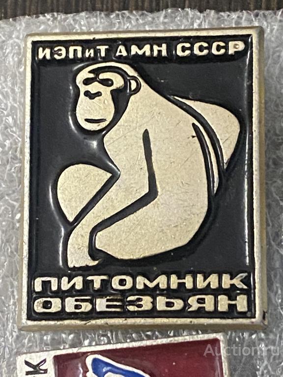 Знак значок ИЭПиТ АМН СССР ПИТОМНИК ОБЕЗЬЯН. ФЛОРА