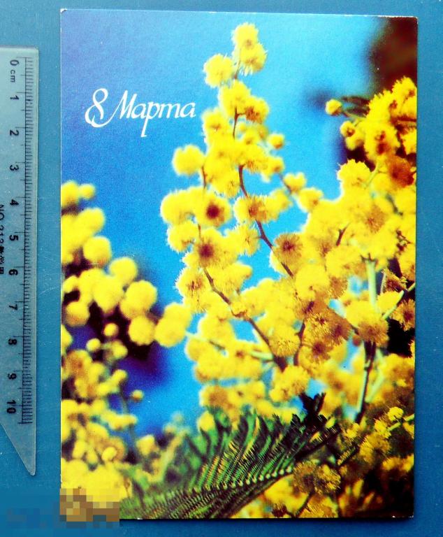 Панов 8 МАРТА! 1986 Щ9 чистая ЦВЕТЫ 3