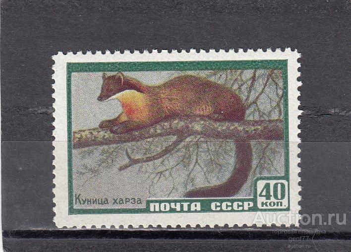 СССР 1959  Фауна  Куница Харза Сост** MNH
