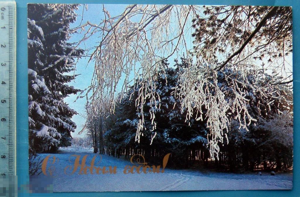 Буркин С НОВЫМ ГОДОМ! 1989 N9 (1.9..2..) чистая ЕЛКИ