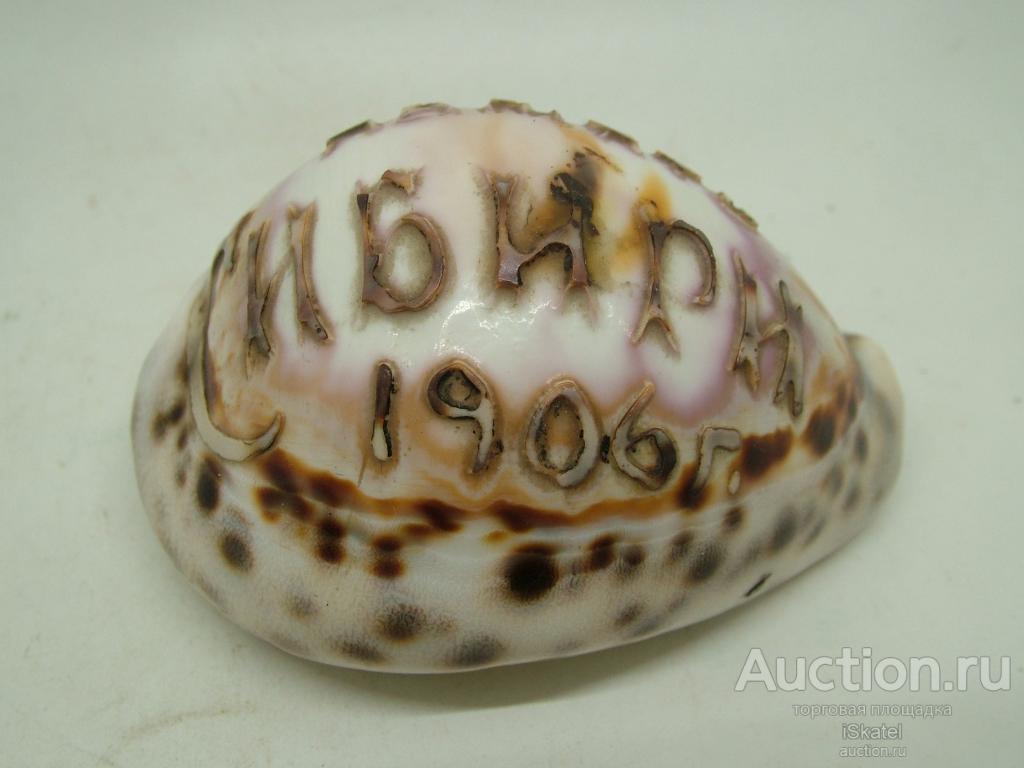 сувенир резьба по ракушке ПАМЯТЬ СИБИРИ 1906 г.