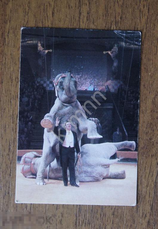 Календарик карманный. Цирк Анатолий Корнилов 1983 год ПК9/4