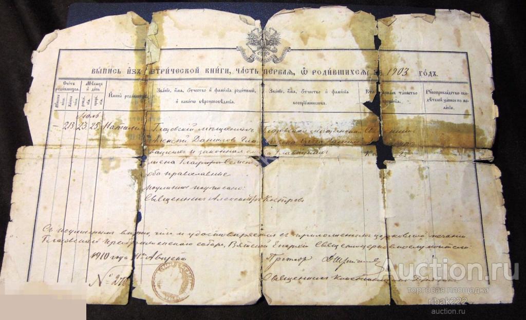 Выпись из метрической книги о родившихся за 1903 год