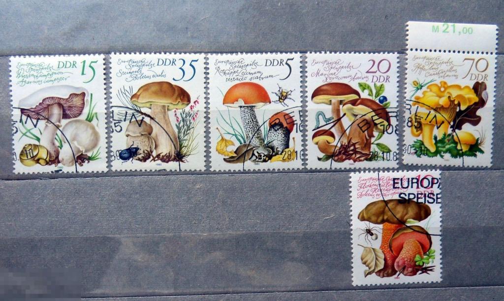 ГДР 1980 гашен.  (А4 стр12) марки ФЛОРА грибы
