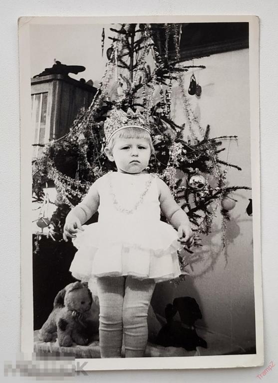 Фотография Новый год елка, девочка, новогоднее платье, корона, игрушка собака кошка #144*