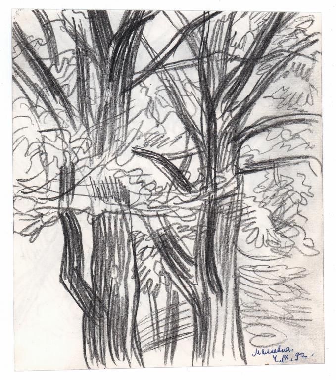 Дувидов В.А. (1932-2000) "Малеевка. Деревья. Двусторонний рисунок"