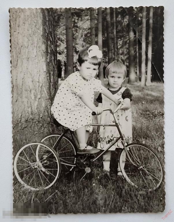 Фотография дети девочки, трехколесный велосипед, платье в горошек, бант #145*