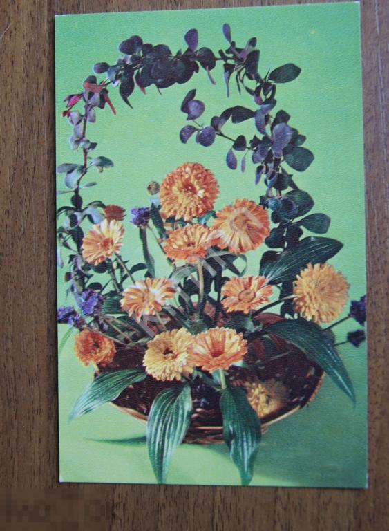 Открытка Золотая осень чистая (Мезенцева)2  К177