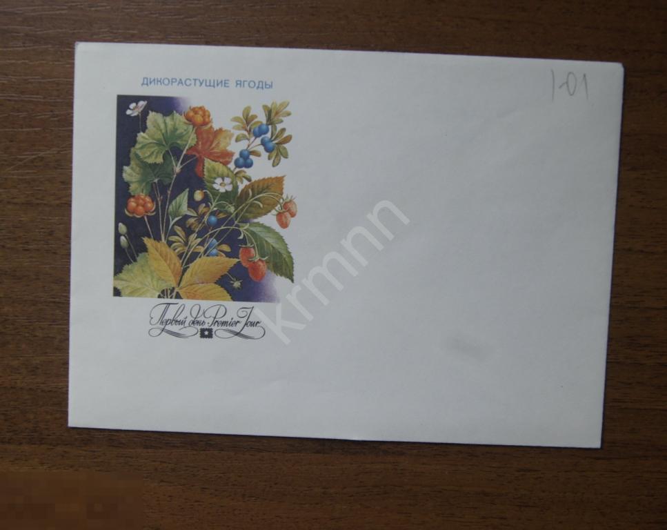 Конверты первого дня. Дикорастущие ягоды  2 К383