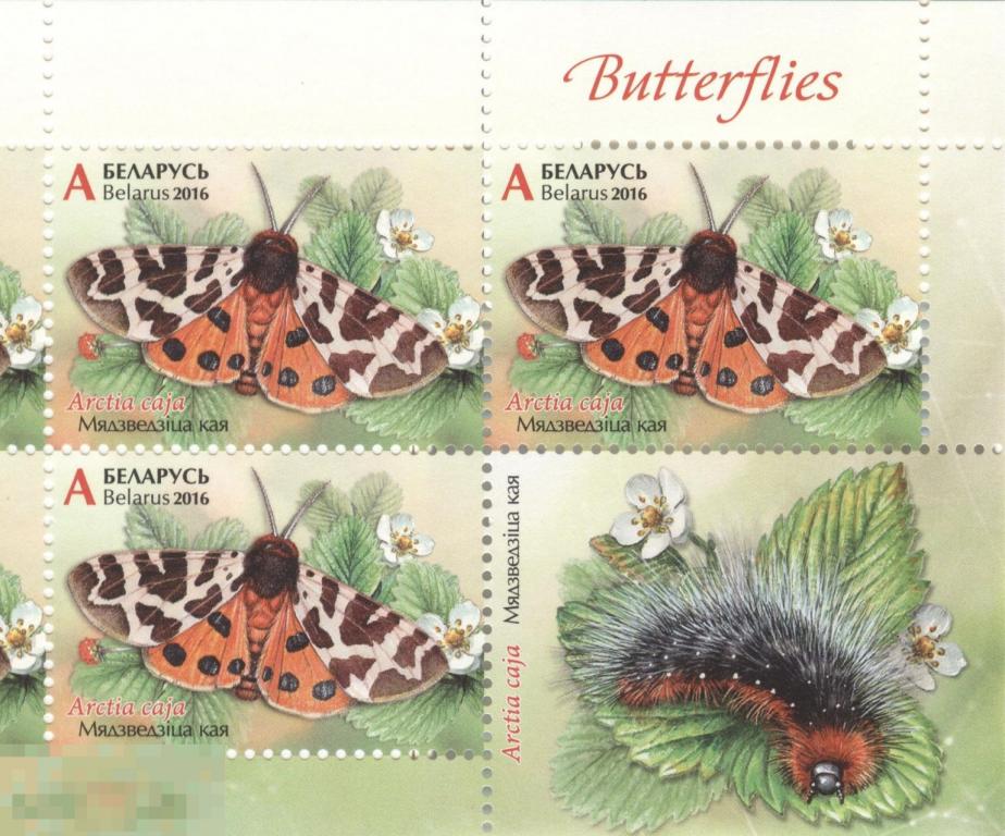 Блок марок Беларусь -   Бабочки 2016