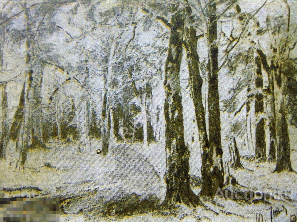 Почтовая карточка И. Шишкин "Березы" 1948 год Чистая! № 2