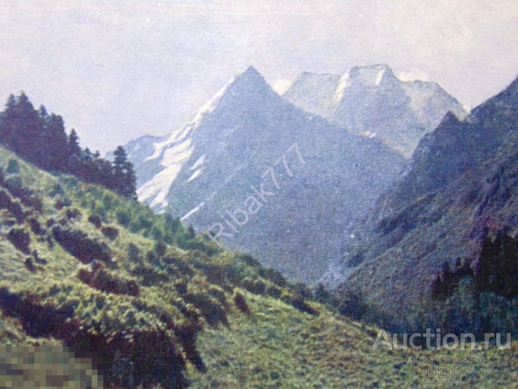 Почтовая карточка  "Кавказ. Горы Дамбай-Ульген" 1952 год.Чистая!