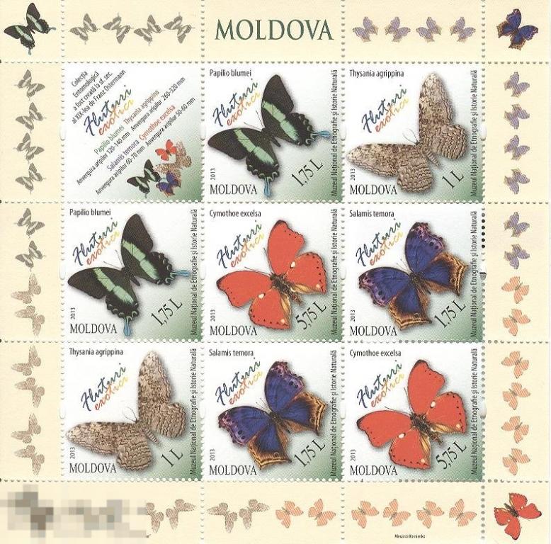 Молдова  2013 Фауна Насекомые Бабочки (Блок из 9 марок)