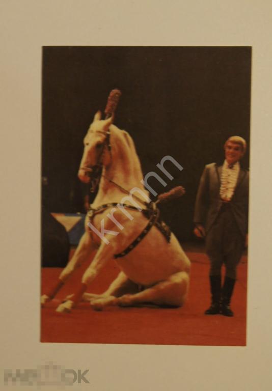 Календарик карманный Цирк Алексей Соколов 1982 г.  ПК20/2