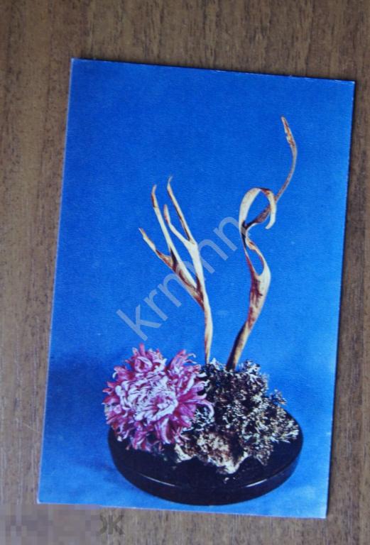 Открытка. Цветы Композиция Игнатович 5 чистая К547